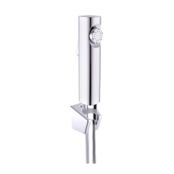 XỊT VỆ SINH DK1006603