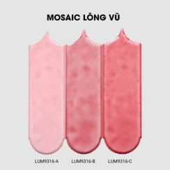 GẠCH LÔNG VŨ LUM9316
