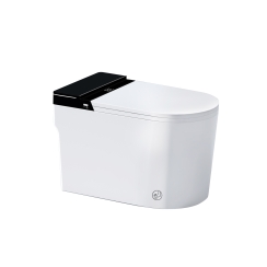 BỒN CẦU THÔNG MINH ST6904E